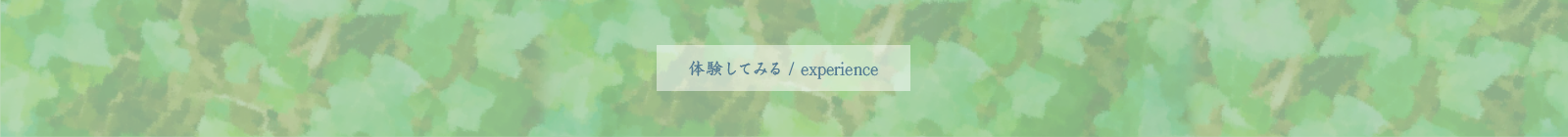 体験する