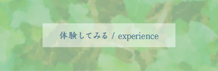 体験する