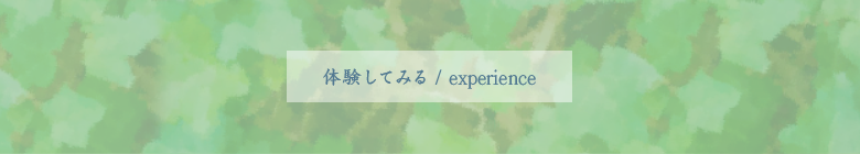 体験する